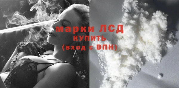 спиды Ельня