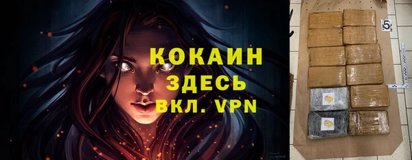 дурь Елабуга