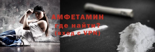 спиды Ельня