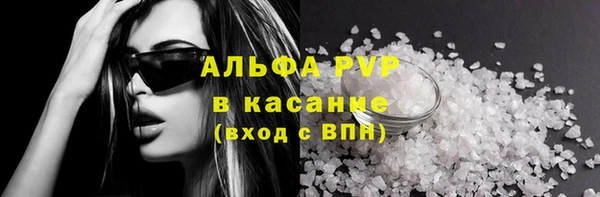 спиды Ельня