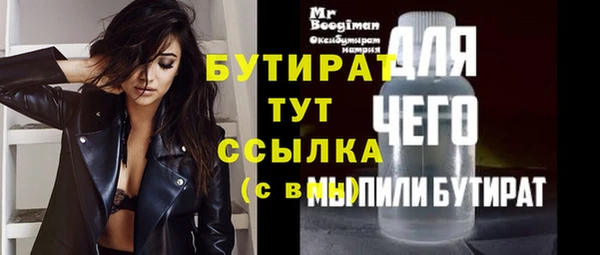 спиды Ельня