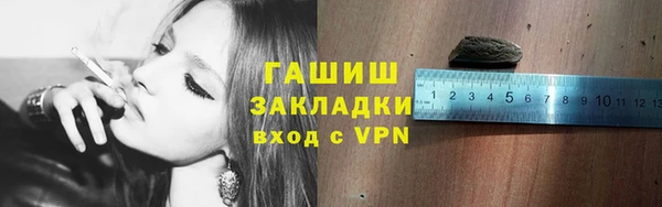 спиды Ельня