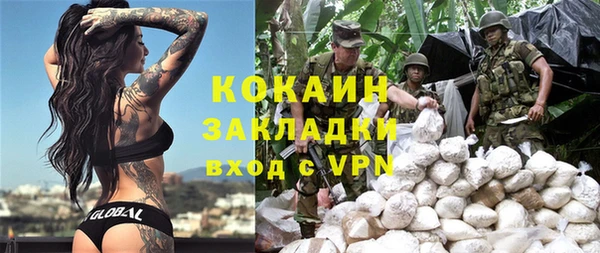 спиды Ельня