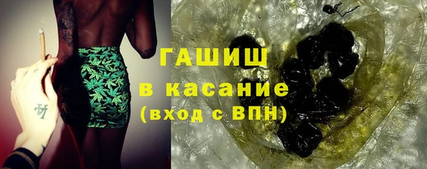 спиды Ельня