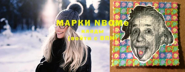 спиды Ельня