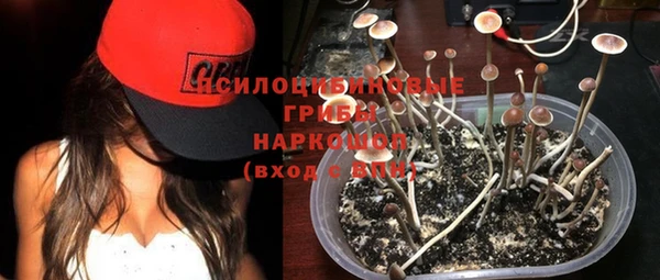 Альфа ПВП Заводоуковск