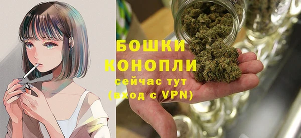спиды Ельня